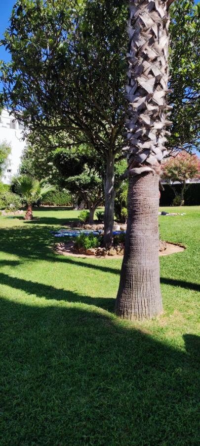 Delta Del Sur Apartment Benalmadena Ngoại thất bức ảnh